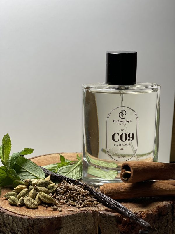 C09 : JPG LE MALE