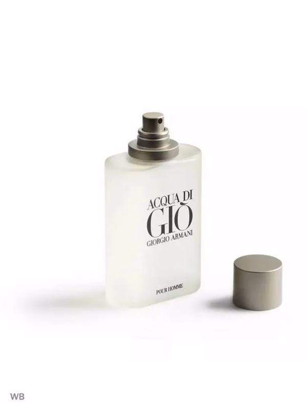 C 64 : Acqua di Gio Pour Homme